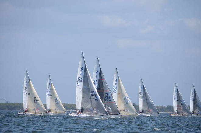 2013 J/24 Midwinter Championship<br />
 © Christopher Howell