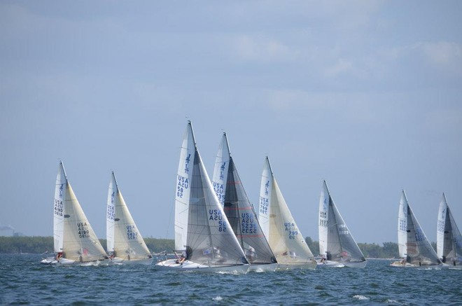 Opening day of the J/24 Midwinter Championship 2013 © J/24 Class Association