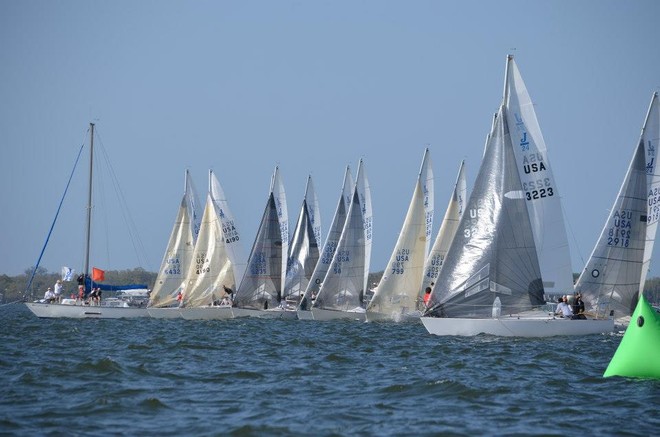 Opening day of the J/24 Midwinter Championship 2013 © J/24 Class Association
