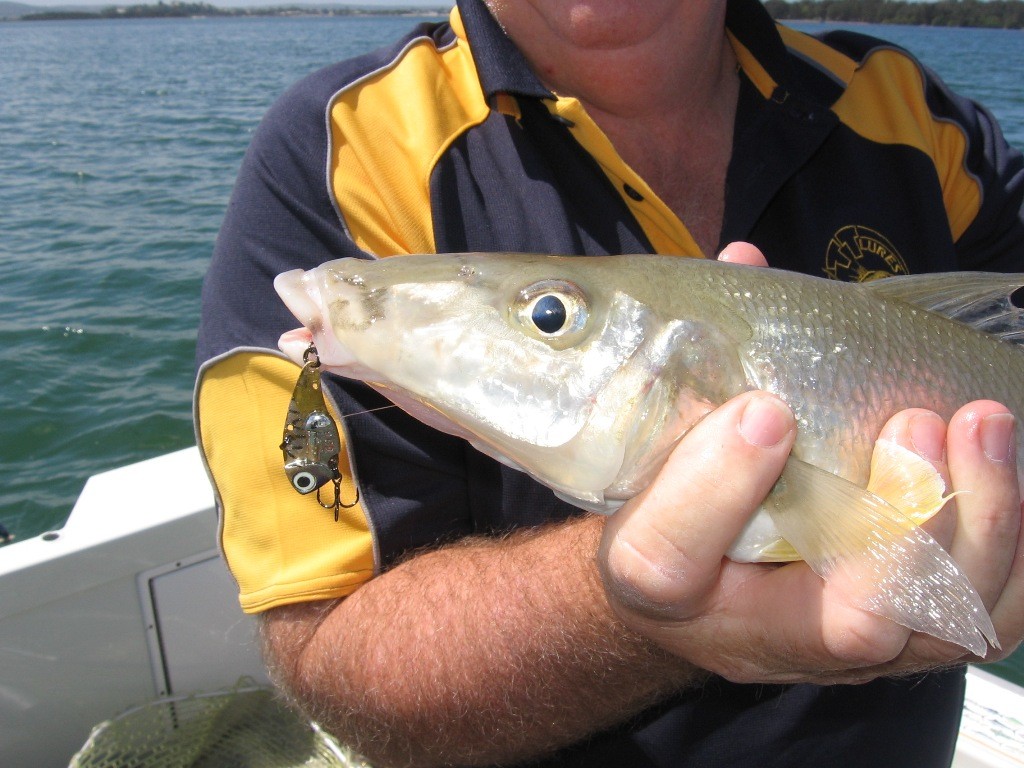 Who would ever though that you can catch whiting on blades photo copyright Gary Brown taken at  and featuring the  class