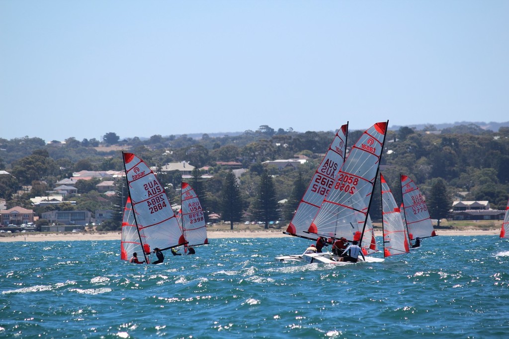 IMG 1154 - Southern Diesel & Marine 40th Tasar Nationals photo copyright Stuart Templeton taken at  and featuring the  class