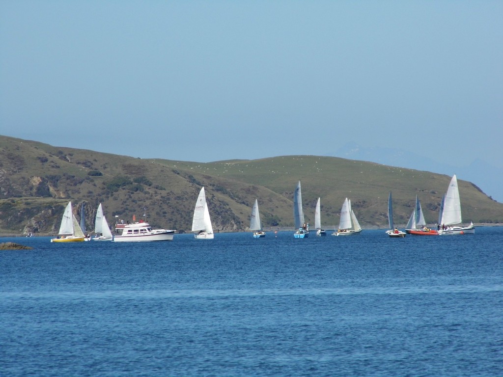 What a Start - Noelex 22 Nationals photo copyright Sandra McGill taken at  and featuring the  class