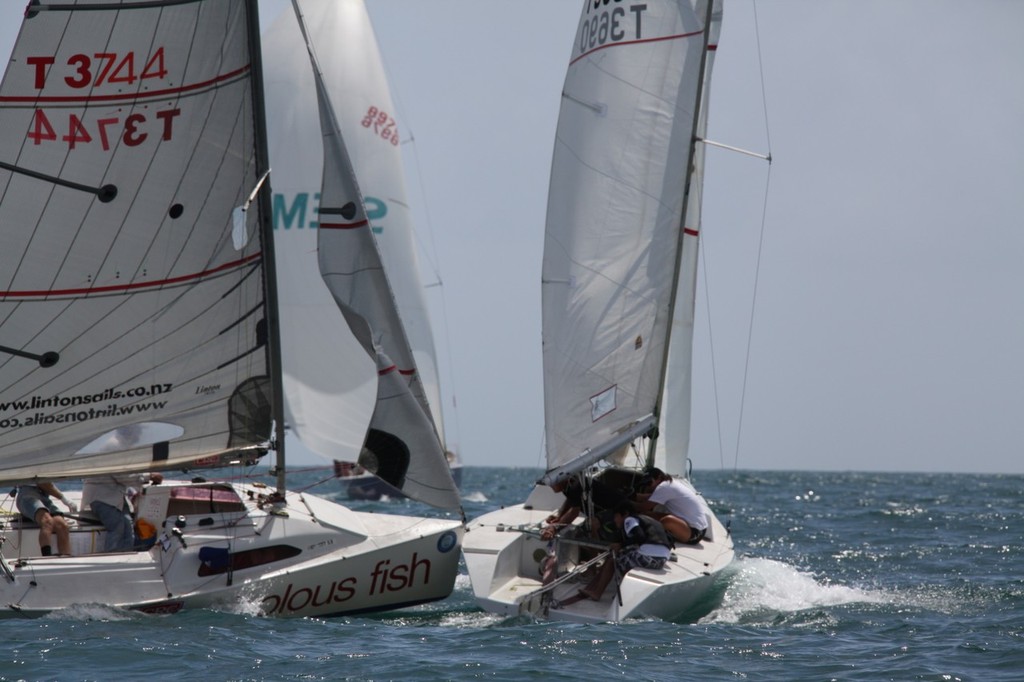 Elliott 5.0&rsquo;s on Day 1 of 2013 Bay of Islands Sailing Week photo copyright  Will Calver - Ocean Photography http://www.oceanphotography.co.nz/ taken at  and featuring the  class