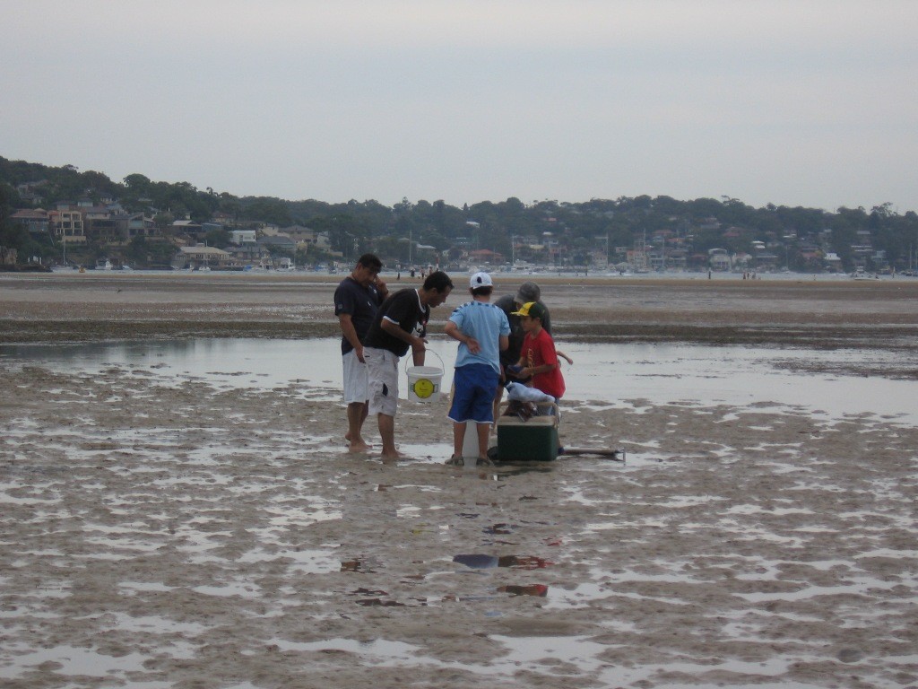 It may be hard work, but pumping nippers is the go for whiting photo copyright Gary Brown taken at  and featuring the  class