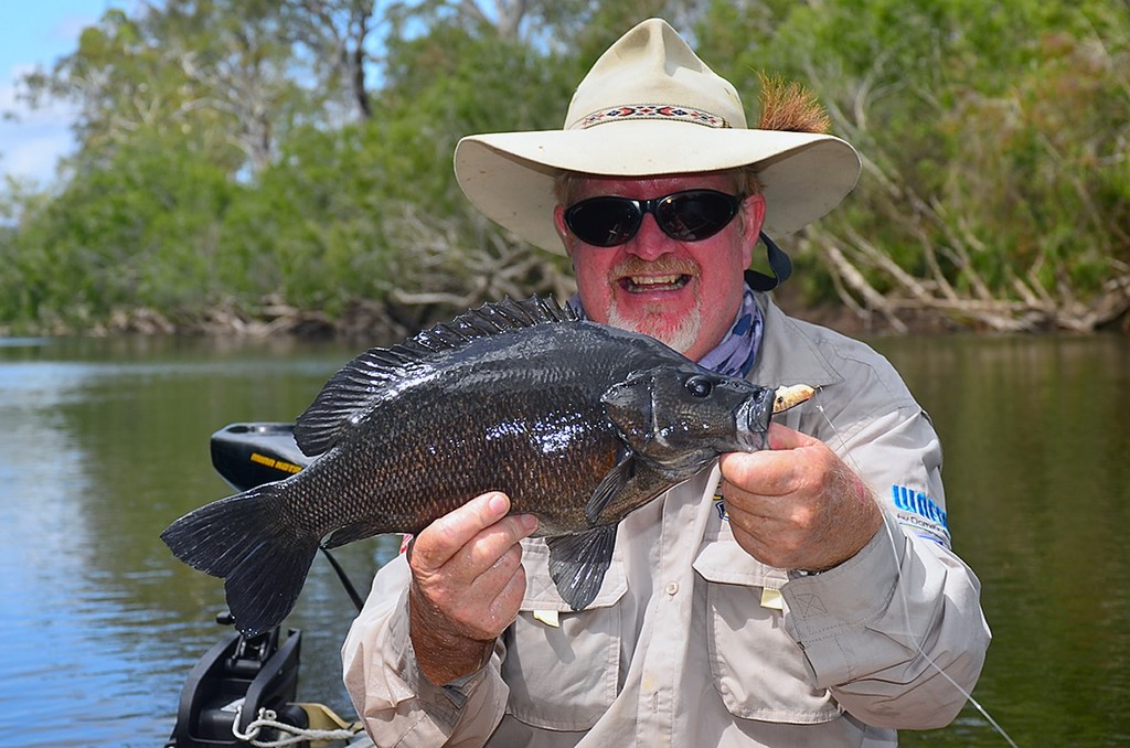 Sooty grunter are often described as ``footballs`` due to their oval shape.  These fish have wide, powerful bodies and tails and that first hit can leave you gobsmacked and lure-less.  Graham Brake landed this nice fish on a Squidgy Wriggler. photo copyright Lee Brake taken at  and featuring the  class