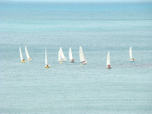 Plimmerton Boating Club Noelex Fleet © Sandra McGill