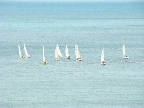 Plimmerton Boating Club Noelex Fleet © Sandra McGill