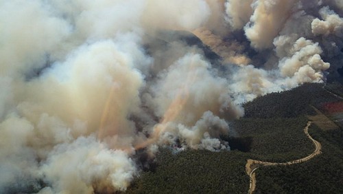 Although the fires in Victoria have destroyed thousands of hectares of land, anglers are still getting out for a spot of fishing at times. © Jarrod Day