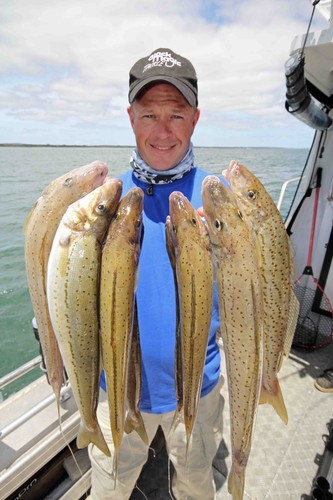 When fishing the deep you can expect to catch whiting of this size regularly. © Jarrod Day
