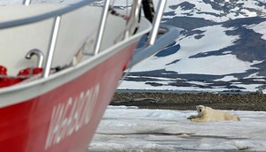 Vagabond and polar bear photo copyright  SW taken at  and featuring the  class