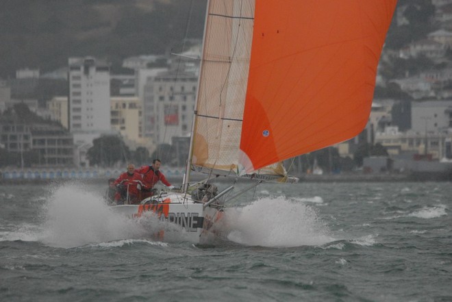 Real Deal Div B PHRF national champion - 2013 Port Nicholson Regatta © John Hardie