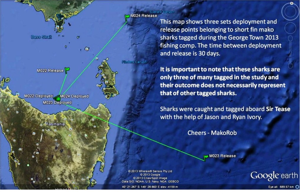 Mako shark tracking. © Carl Hyland
