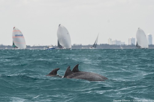 Gaastra World Championship 52 Super Series © Xaume Olleros / 52 Super Series