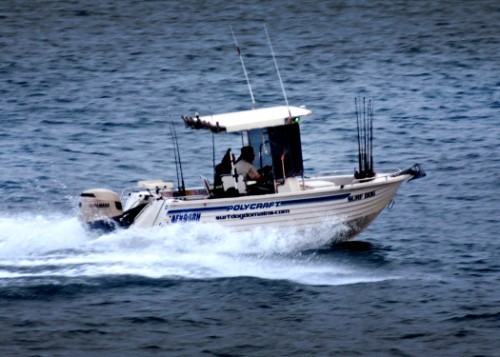 2012 TBFT competitor - 2013 Club Marine Trailer Boat Fishing Tournament  © Tony Poole
