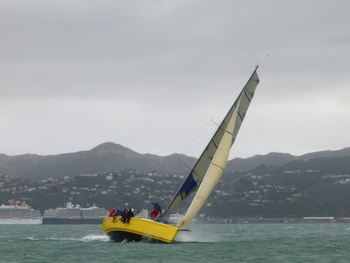 Day 1- 2013 Port Nicholson Regatta © RPNYC Events