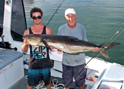 This fine Cobia didn’t even get 3rd place in 2012 - 2013 Club Marine Trailer Boat Fishing Tournament  © Tony Poole