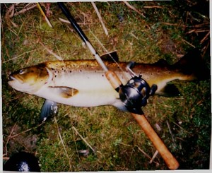 8lb feeder photo copyright Carl Hyland taken at  and featuring the  class