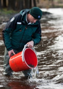 Local trout stocking has been very productive and will continue into the future. photo copyright Jarrod Day taken at  and featuring the  class
