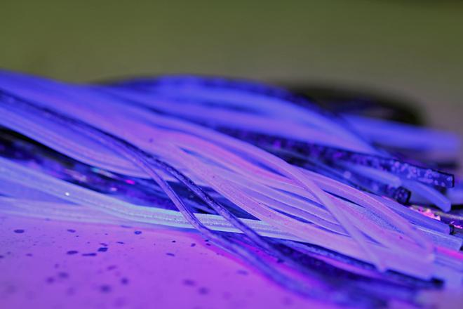 When UV light is shone onto a skirt, you can really see the difference.  © Jarrod Day