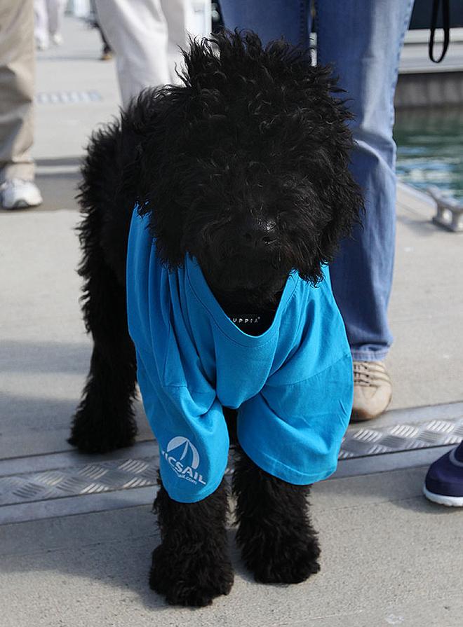 The mascot certainly brought luck to the winners aboard, Nanoq. - 2013 Lagoon Escapade ©  John Curnow