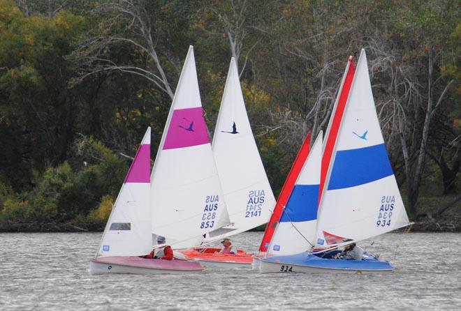 Bob Schahinger (AUS853 - SA) has control of the Liberty fleet - 2013 Australian & Asia-Pacific Access Class Championships © David Staley - copyright