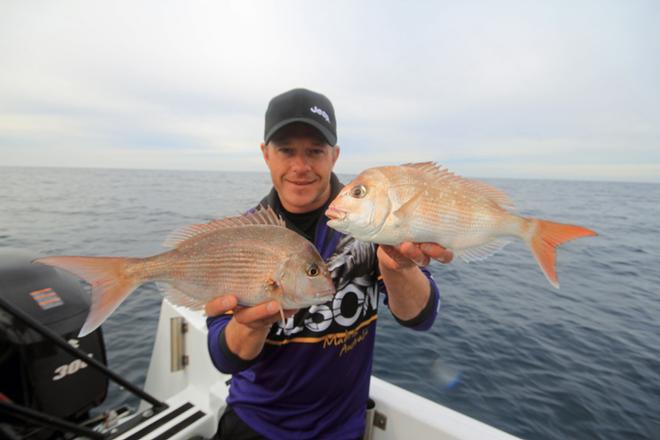 Snapper are plentiful on offshore reefs. © Jarrod Day