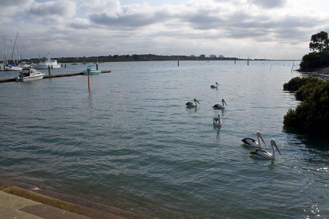 Often fishing around boat ramps can be very productive, especially if there are fish cleaning table nearby. © Jarrod Day