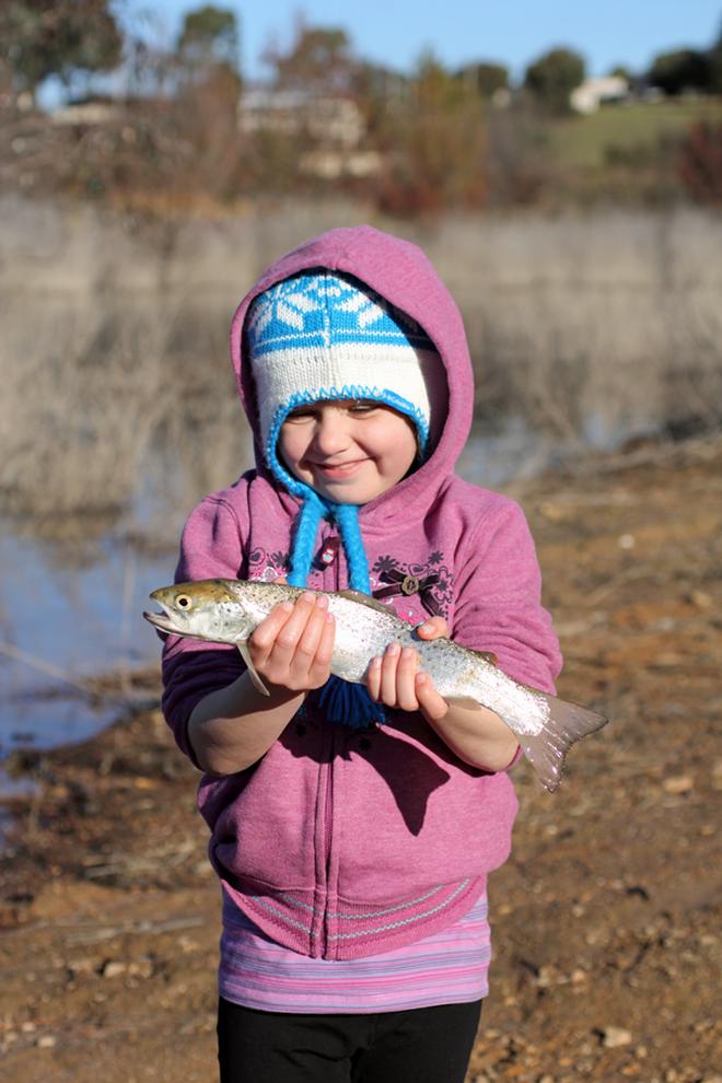 Trout are a fantastic species to target and are relativly easy to catch for children. © Jarrod Day