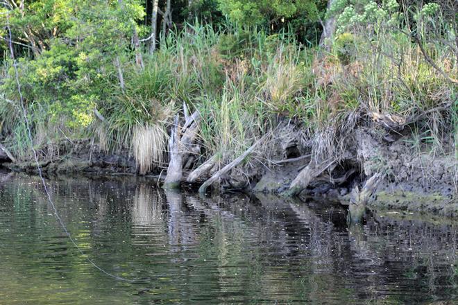 Small long shank hooks with small baits are the key to success. © Jarrod Day