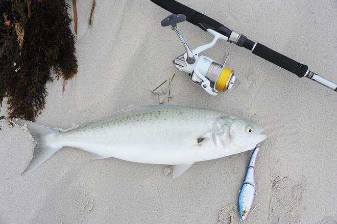 Sporty with SA'S winter salmon