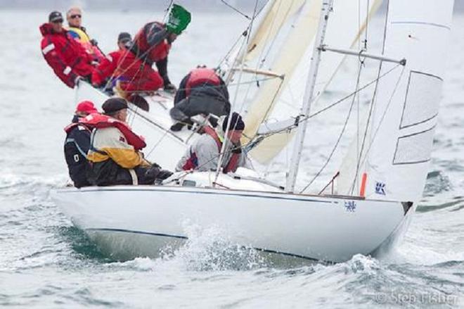 The lovely Amazing Grace fought hard for their performance second (division two) ©  Steb Fisher