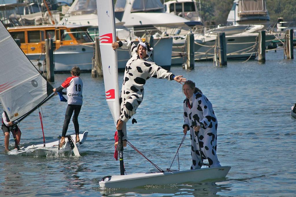 Open Bic Freestyle - even cows can do it! - Zhik Australian Open Bic Cup photo copyright Jennifer Medd taken at  and featuring the  class