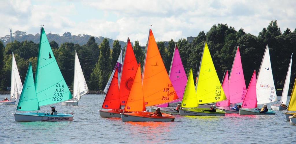 The twenty two boat Access 303 single person competition has been very competitive - 2013 Australian & Asia-Pacific Access Class Championships © David Staley - copyright