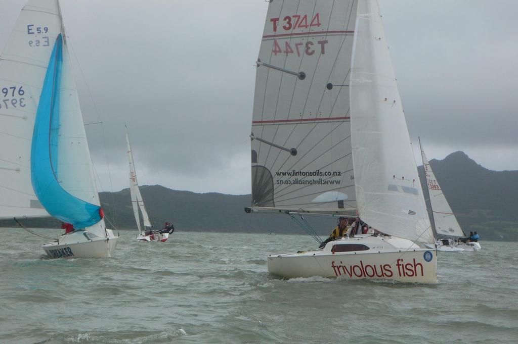 2013 E5.9 Traveler Series opener at Opua © Rob Gill