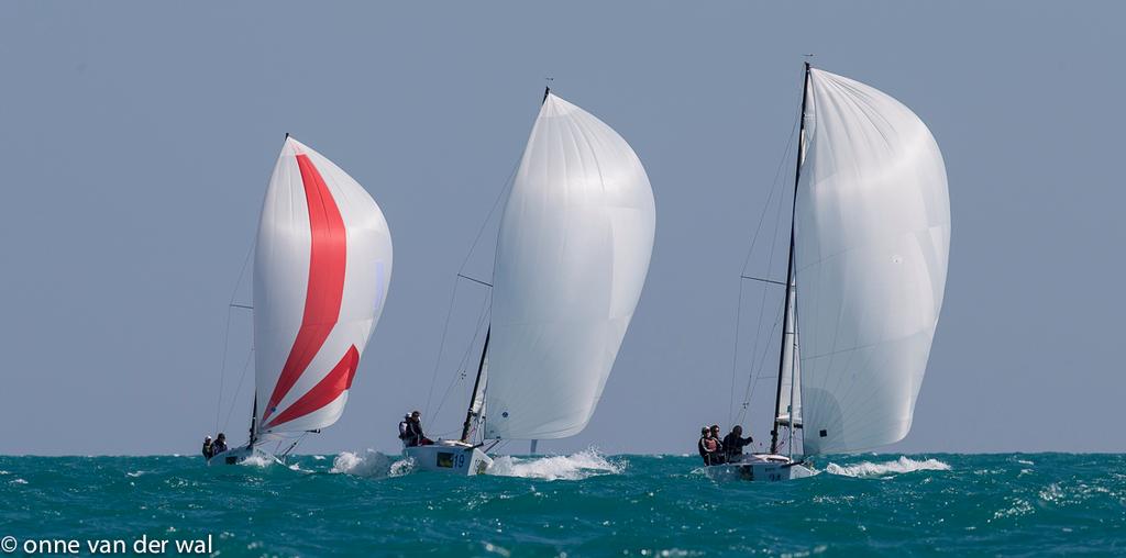 J/70s sailing fast downwind - Charleston Race Week © Onne Vanderwal