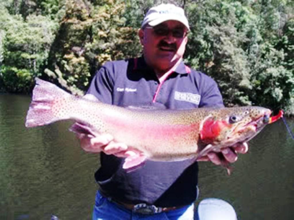 A Barrington male rainbow. Taken on a Hueys Christmas tree lure. © Carl Hyland