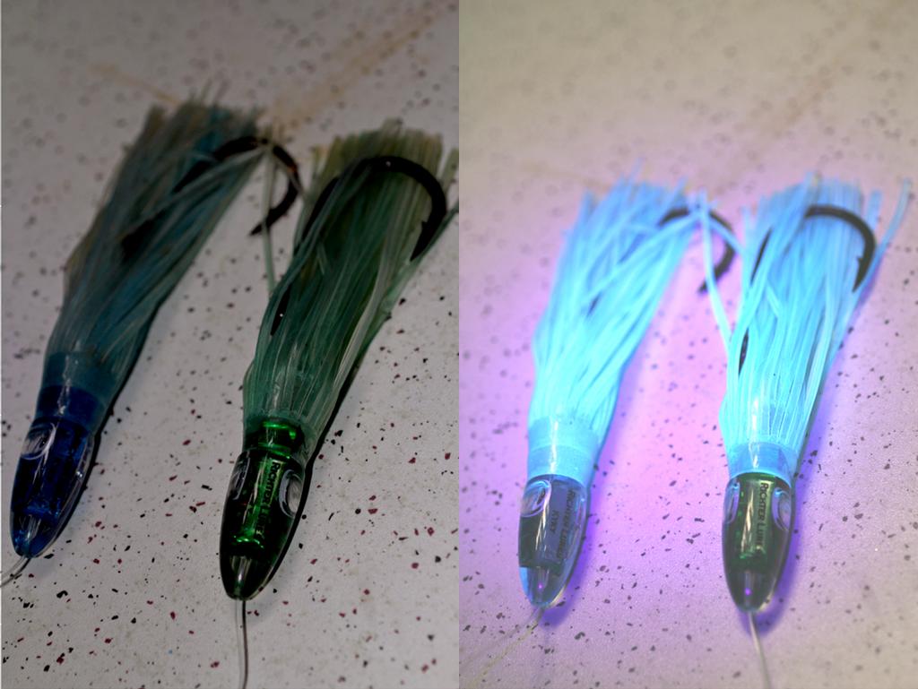 Richter Lures KYKY in the UV/Blue colour is noticebly dufferent under UV light © Jarrod Day