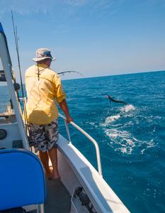 These small billfish tend to go absolutely berserk once hooked. Be prepared for some fireworks! photo copyright Ben Knaggs taken at  and featuring the  class