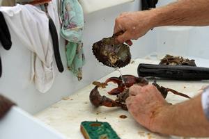 Quickly, lift the tail pulling off the shell. photo copyright Jarrod Day taken at  and featuring the  class