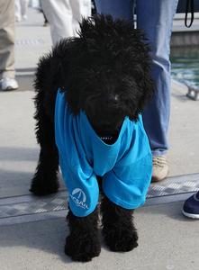 The mascot certainly brought luck to the winners aboard, Nandoq. - 2013 Lagoon Escapade photo copyright  John Curnow taken at  and featuring the  class