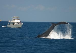 ClipperFraserLR3 photo copyright Clipper Motor Yachts taken at  and featuring the  class
