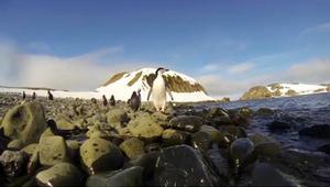 Europa penguins photo copyright  SW taken at  and featuring the  class