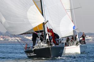 Former Farr40 AFR Midnight Rambler, now Primitive Cool. - Nautilus Marine Winter Series photo copyright  Alex McKinnon Photography http://www.alexmckinnonphotography.com taken at  and featuring the  class