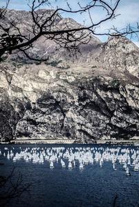 31st Garda Optimist Meeting photo copyright  Elena Giolai/Fraglia Vela Riva taken at  and featuring the  class