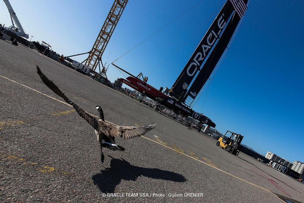 Boat 2 load test / SFO April Testing Session / ORACLE TEAM USA / San Francisco (USA) / 21-04-2013 photo copyright Guilain Grenier Oracle Team USA http://www.oracleteamusamedia.com/ taken at  and featuring the  class