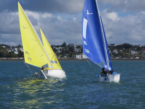 2013 Sailability Auckland Waller Cup © Tim Dempsey