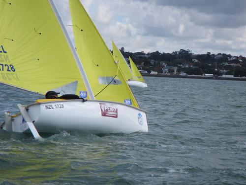 2013 Sailability Auckland Waller Cup © Tim Dempsey