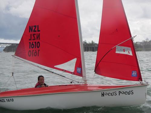 2013 Sailability Auckland Waller Cup © Tim Dempsey