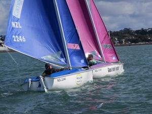 IMG 0540 - 2013 Sailability Auckland Waller Cup photo copyright Tim Dempsey taken at  and featuring the  class