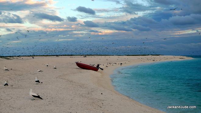 Our first footsteps on shore opened a floodgate of memories from 1982 - Exploring the Coral Sea  © Jack Binder